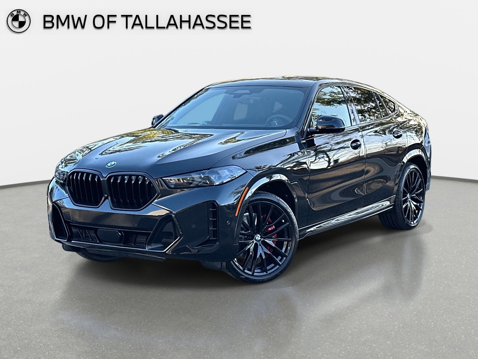 2026 BMW X6 xDrive40i