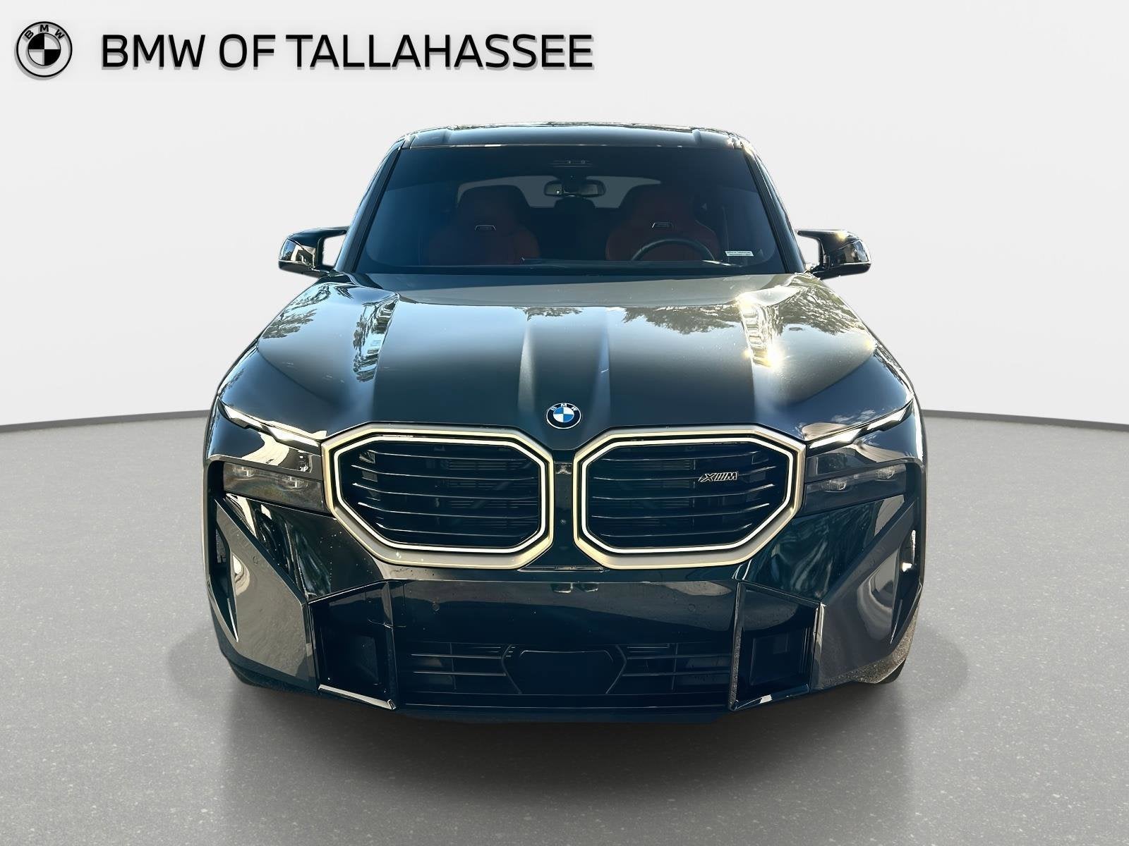 2025 BMW XM Base