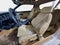 1987 Pontiac Firebird Trans Am
