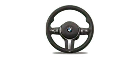 BMW Steering wheel at BMW of Tallahassee in Tallahassee FL